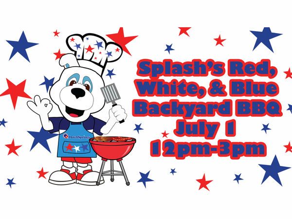 splash_bbq_webite-1498145642-8465