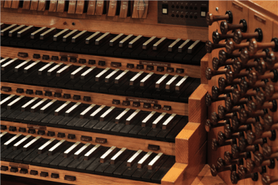 147538cb-cf1e-4619-a8e9-82cd87b3b011-large