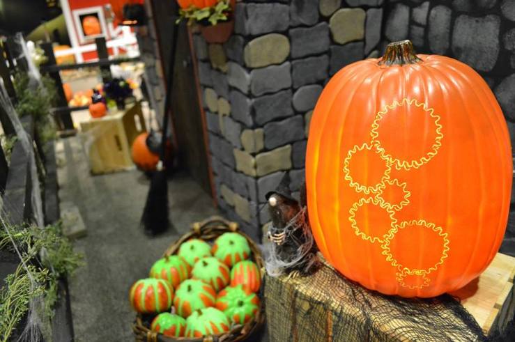 40803315_10155834811452993_3722217657433325568_n